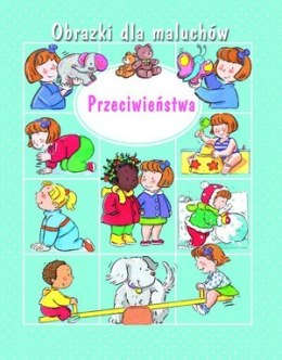 KS18 Obrazki dla maluchów. Przeciwieństwa