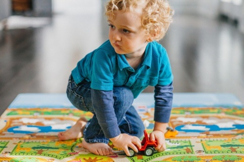 AWESOME playMAT City/Zoo - Prince Lionheart (7750)