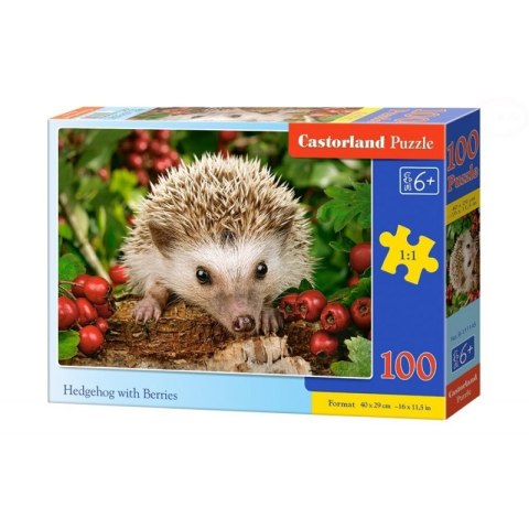 Puzzle 100 hedgehog berries