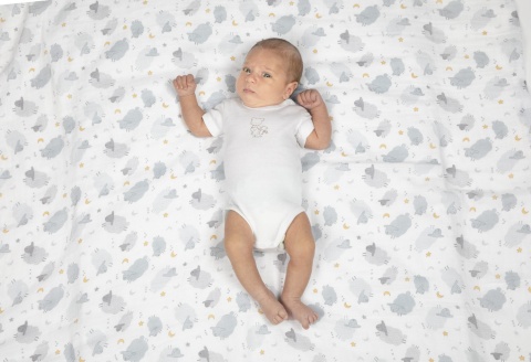 Chicco Pielucha 100% Bwełna 4W1 110CMx100cm 2 SZT BEAR&GREY SHEEP