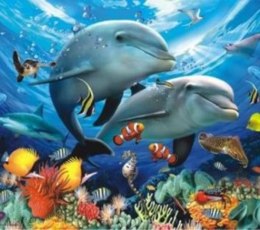 Malowanie po numerach Delfiny, oceanarium 40 x 50 5608