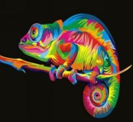 Malowanie po numerach Kameleon 40 x 50 5584