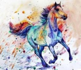 Malowanie po numerach Koń w galopie kolor 40 x 50 5616