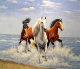 Malowanie po numerach Konie 40 x 50 5579