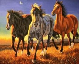 Malowanie po numerach Konie 40 x 50 5580