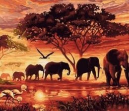 Malowanie po numerach Słonie 40 x 50 5595