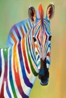Malowanie po numerach Zebra 40 x 50 5570