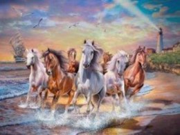 Malowanie po numerach Konie na brzegu morza 40 x 50 5710