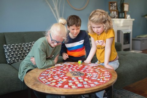 Gra logiczna i obserwacyjna dla dzieci - BS Toys Kot w Kapeluszu