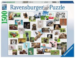 Puzzle 1500el Zabawne zwierzęta 167111 RAVENSBURGER