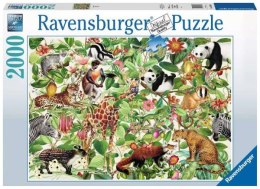Puzzle 2000el Dżungla 168248 RAVENSBURGER p6