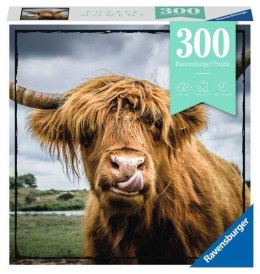 Puzzle 300el Momenty Szkocka krowa 132737 RAVENSBURGER
