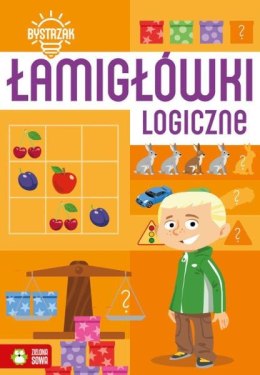 Książka Bystrzak. Łamigłówki logiczne ZIELONA SOWA