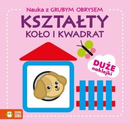 Książka Nauka z grubym obrysem. Kształty. Koło i kwadrat ZIELONA SOWA