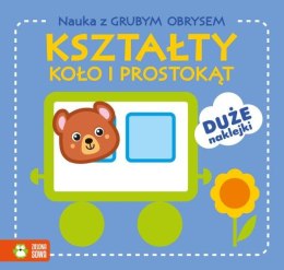 Książka Nauka z grubym obrysem. Kształty. Koło i prostokąt ZIELONA SOWA