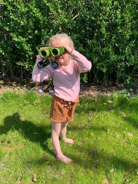 Navir, Explora Display - Przyrządy Przyrodnika, mix 31 szt