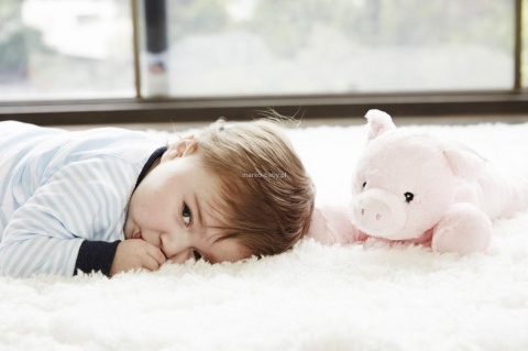 Cloud b Twilight - Lampki nocne - Rozgwieżdżone niebo lampka pig świnka