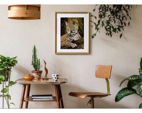 Malowanie po numerach 40x50 spojrzenie