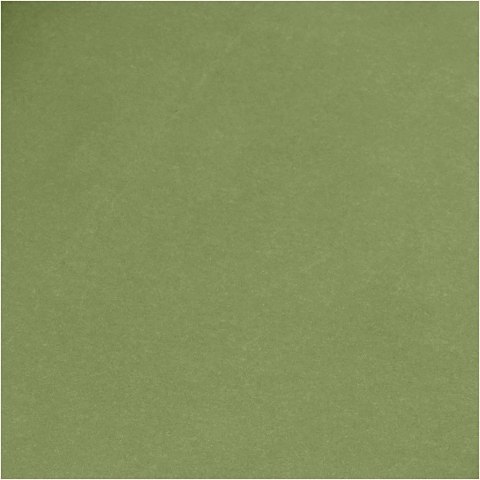 Papier Washable Zielony 100x50 cm