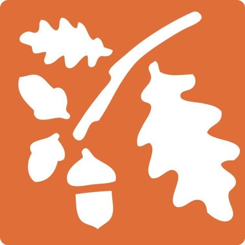 Zestaw 6 szablonów Jesień