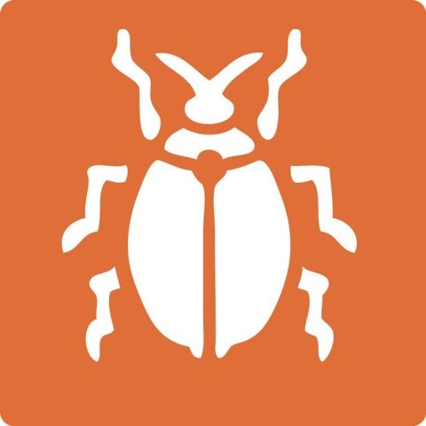 Zestaw 6 szablonów Owady