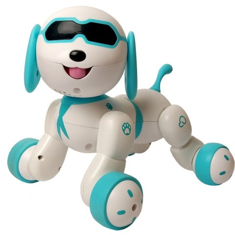 STEROWANY PIESEK ROBOT FAFIK MÓWI ŚPIEWA POLSKU JEŹDZI# G2