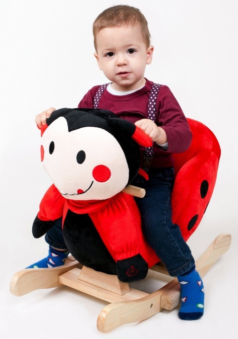 Bujak Zabawka na biegunach PlayTo 18m+