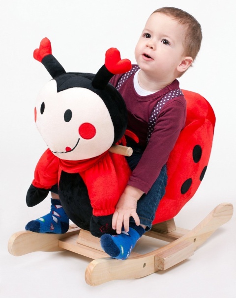 Bujak Zabawka na biegunach PlayTo 18m+