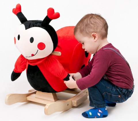 Bujak Zabawka na biegunach PlayTo 18m+