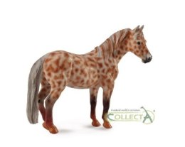 Klacz British Spotted Pony maści kasztan leopard 88750 COLLECTA