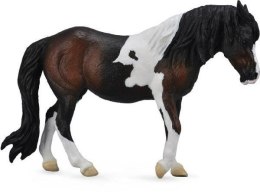 Klacz Dartmoor Hill Mare 88711 COLLECTA