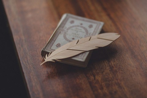 MILIN Zakładka piórko