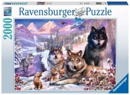 Puzzle 2000el Wilki w śniegu 160129 RAVENSBURGER