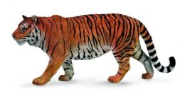 Tygrys syberyjski (XL) 88789