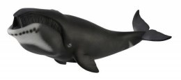 Wieloryb grenlandzki 88652 COLLECTA