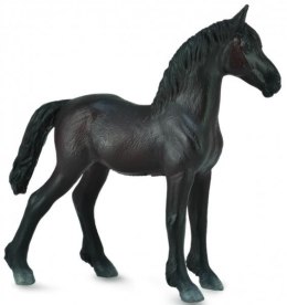 Źrebię Friesian foal czarne 88815 COLLECTA