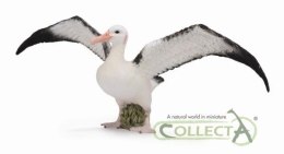 Albatros wędrowny 88765 COLLECTA