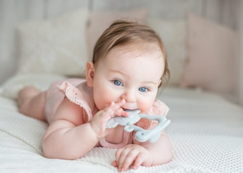 GILIGUMS GG 21323 Gryzak uspokajający koala szary