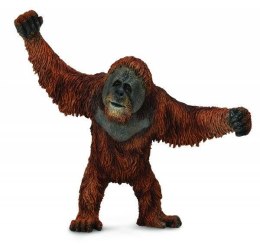 Orangutan 88730 COLLECTA