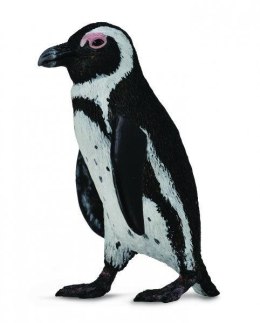 Pingwin przylądkowy 88710 COLLECTA