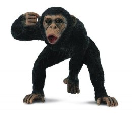 Szympans samiec 88492 COLLECTA