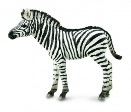 Zebra źrebię 88850 COLLECTA