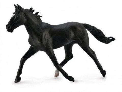 Koń standardbred pacer 88645 COLLECTA