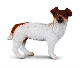 Pies Jack Russell Terier 88080 COLLECTA