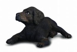 Pies Labrador szczeniak 88077 COLLECTA