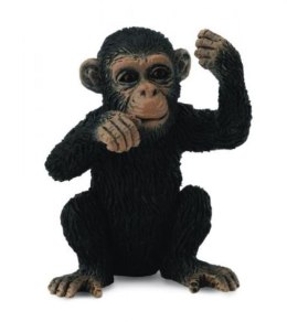 Szympans młody myślący 88495 COLLECTA