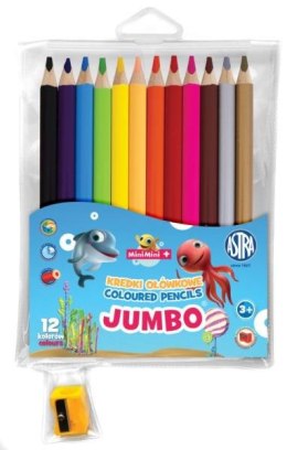 Kredki ołówkowe Jumbo okrągłe 12 kolorów + temperówka Mini Minii 312221009 mix cena za 1 op