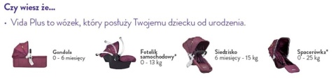 VIDA PLUS 2w1 BABYHOME wózek wielofunkcyjny
