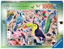 Puzzle 1000el Matt Sewells Wspaniałe ptaki 167692 RAVENSBURGER p5
