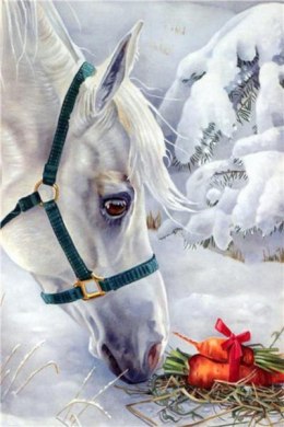 Malowanie po numerach Koń biały 40 x 50 5540